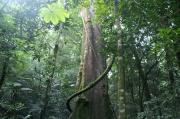 Voyage golf au Costa Rica