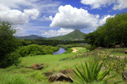 Tamarina Golf