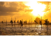 Sri Lanka - Pêcheurs